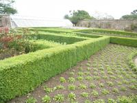 Lost Gardens of Heligan