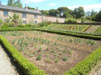 Trengwainton Gardens