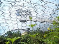 Eden Project