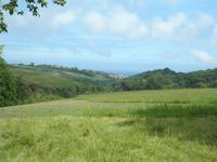 Lost Gardens of Heligan