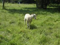 Lost Gardens of Heligan