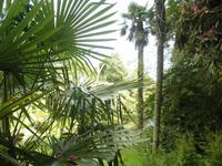 Lost Gardens of Heligan