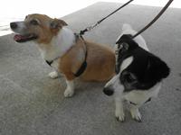 Lost Gardens of Heligan