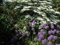 Lost Gardens of Heligan