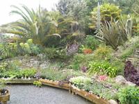 Trebah Garden