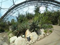 Eden Project