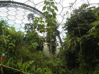 Eden Project