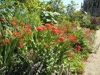 Arundel Castle