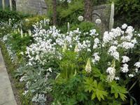 Arundel Castle