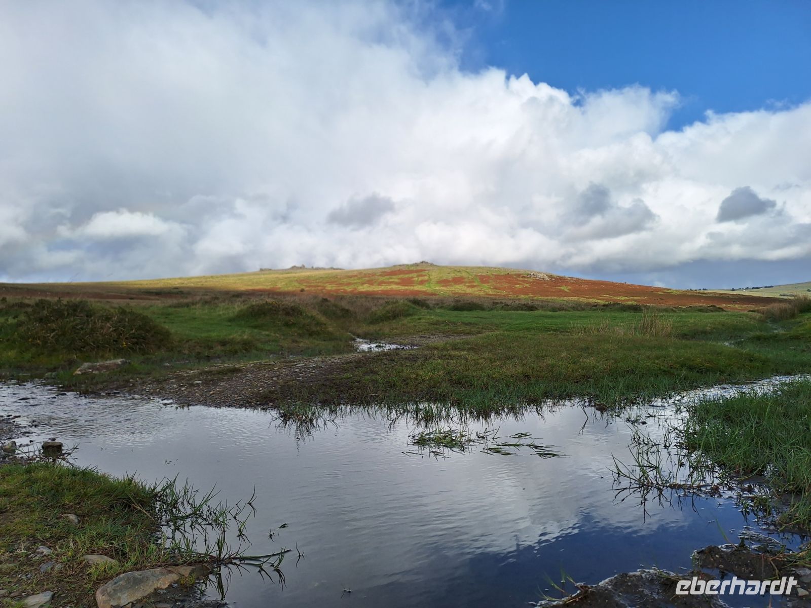 Dartmoor