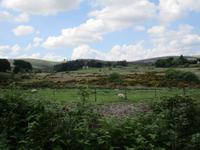 Dartmoor