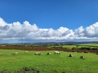 Dartmoor