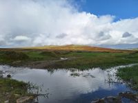 Dartmoor