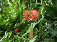 Eden Project