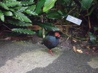 Eden Project