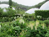 Eden Project