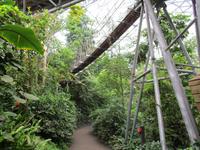 Eden Project