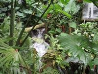 Eden Project