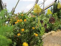 Eden Project