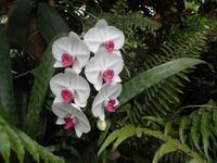 Eden Project