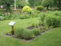 Jane Austen House
