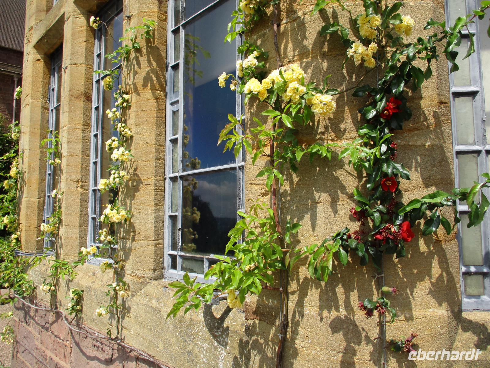 Knightshayes Court