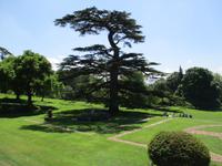 Knightshayes Court