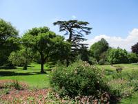 Knightshayes Court