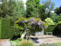 Knightshayes Court