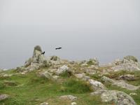 Lands End