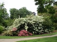 Lanhydrock House and Gardens
