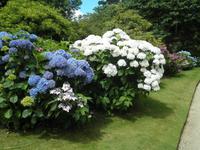 Lanhydrock