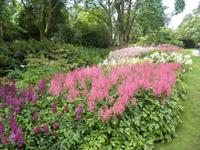 Lanhydrock