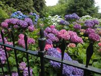 Lanhydrock