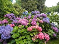 Lanhydrock
