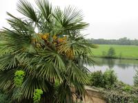 Leeds Castle