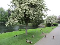 Leeds Castle