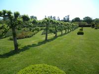 Penshurst Garden