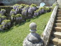 Penshurst Garden