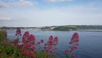 Plymouth