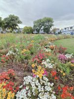 Promenade Paignton