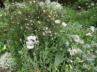 Sissinghurst Castle