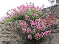 St Michaels Mount