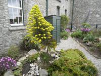 St. Michaels Mount