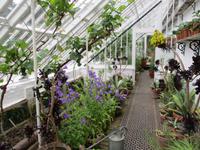 The Lost Gardens of Heligan