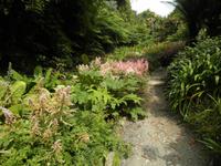 Trebah Garden