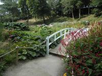 Trebah Garden