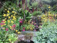 Trebah Garden