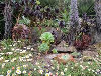 Trebah Garden