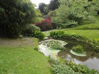 Trebah Gardens
